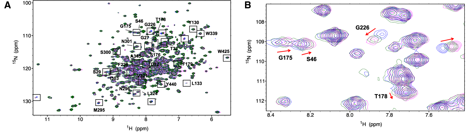 HSQC data showing changes in peak position as a ligand is added